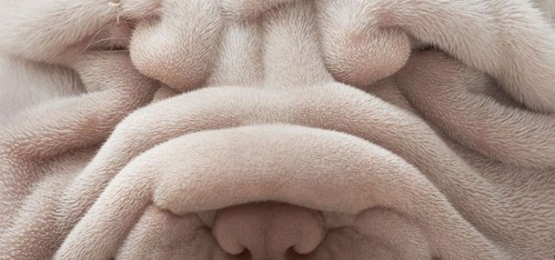 Beauty-alarm: hét hulpmiddel om acne en huidveroudering te be...