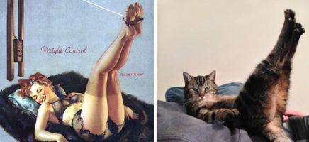 Deze katten poseren als pin-up girls