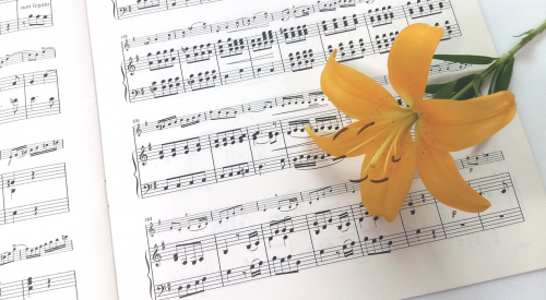 Bewezen: muziek in huis zorgt voor een gelukzalig gevoel