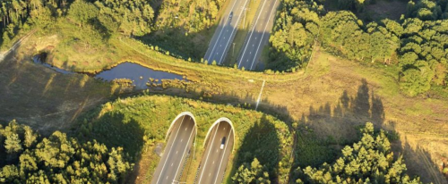 Deze ecoducten helpen de dieren met veilig oversteken