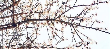 Gekke feitjes over de lente