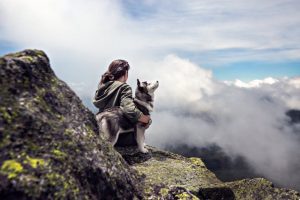 Je hond mee in het vliegtuig? Dat kan!