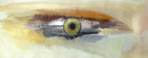 De pijnappelklier: ook wel het derde oog genoemd, is de zetel ...
