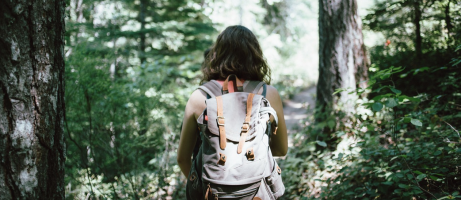 Zo verandert een wandeling in de natuur je brein