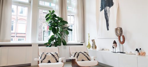 Deze 5 grote planten wil je in huis