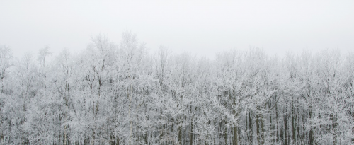 35 dingen om deze winter te doen