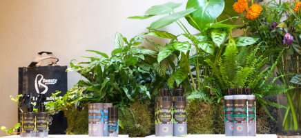 Hebben, hebben, hebben! De 100% natuurlijke haarverzorgingslij...