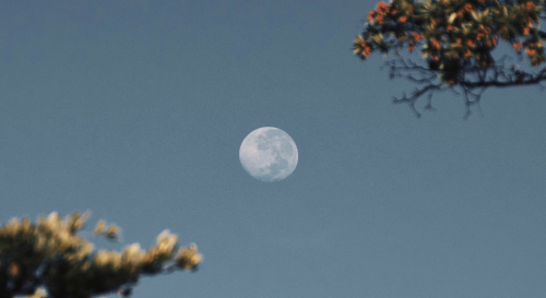 Slecht geslapen? De volle maan van 5 juni had sterke krachten