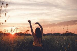Luxe wellness vakantieparken in Nederland